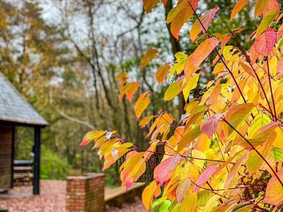 Padley; Woodland Lodge With Hot Tub For 2-4 In The Staffordshire Moorlands Oakamoor Exterior foto