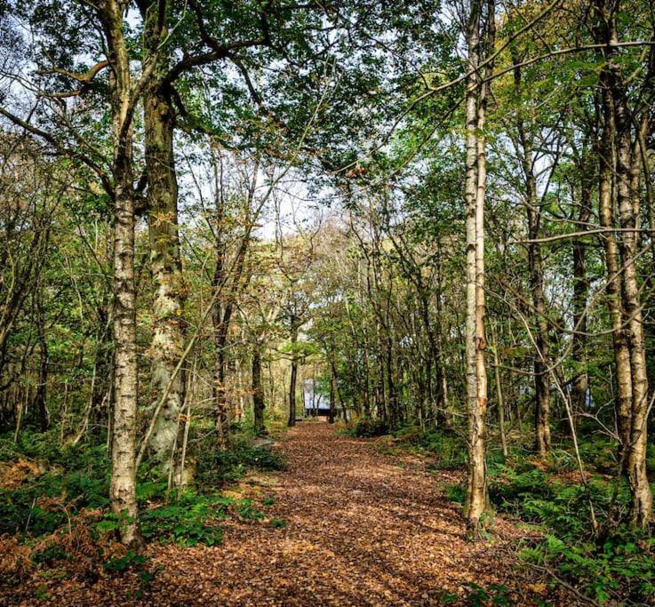 Padley; Woodland Lodge With Hot Tub For 2-4 In The Staffordshire Moorlands Oakamoor Exterior foto