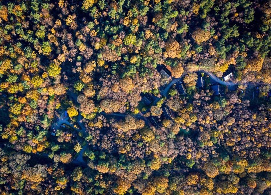 Padley; Woodland Lodge With Hot Tub For 2-4 In The Staffordshire Moorlands Oakamoor Exterior foto